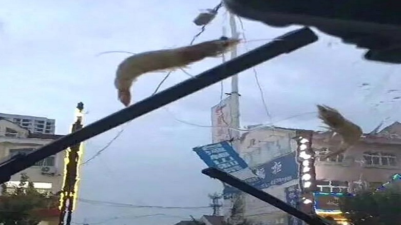 Meteoroloji: Ahtapot yağıyor, çıkmayın!